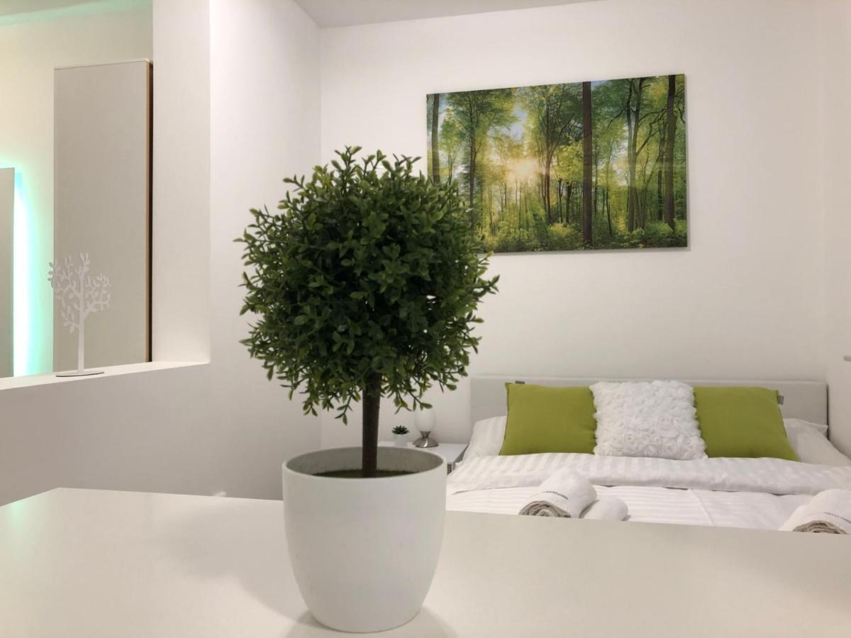 شقة ليوبليانا  في Modern Center Studio Under The Castle II Free Parking المظهر الخارجي الصورة