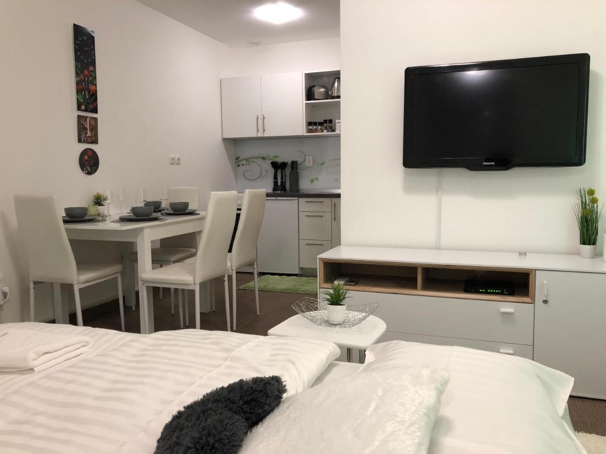 شقة ليوبليانا  في Modern Center Studio Under The Castle II Free Parking المظهر الخارجي الصورة